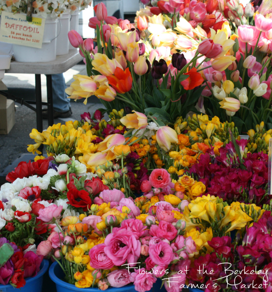Flowers at the Farmers Market
