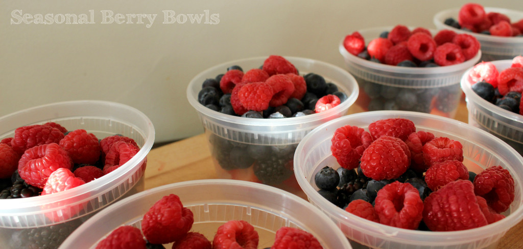 Berry Bowls 2