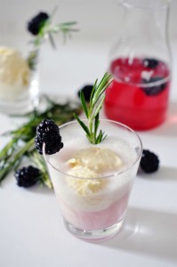 Blackberry-Gin-Cocktail-Float_6
